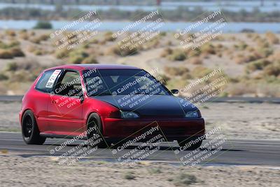 media/Oct-24-2025-Doghouse Garage (Fri) [[783d2ff07a]]/1-Advanced/Session 2 Turn 5 Tree of Life/